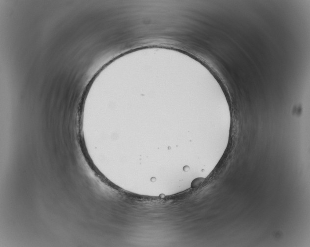 X0000112370999200909241145