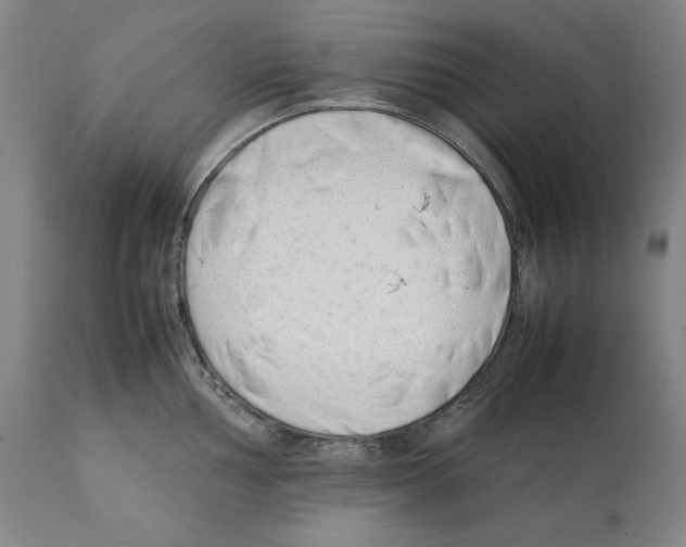 X0000112371002200909241145