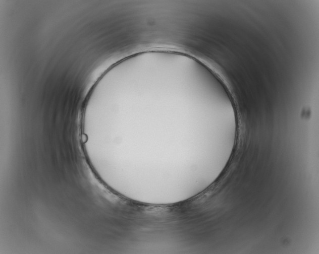 X0000112371006200909241145