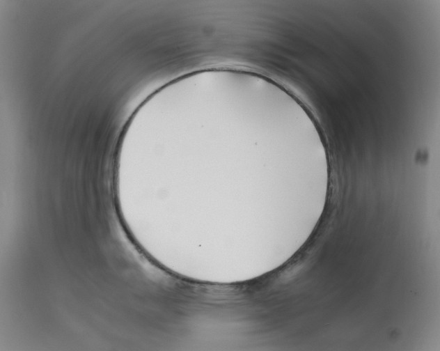X0000112371007200909241145