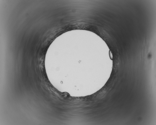 X0000112371010200909241144