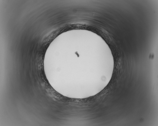 X0000112371014200909241144