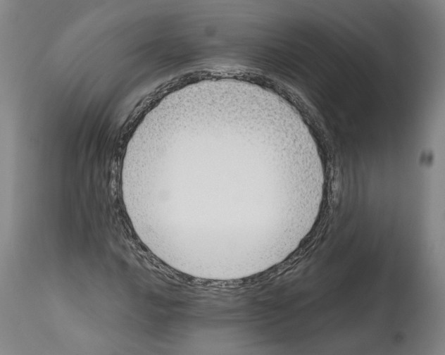 X0000112371016200909241144