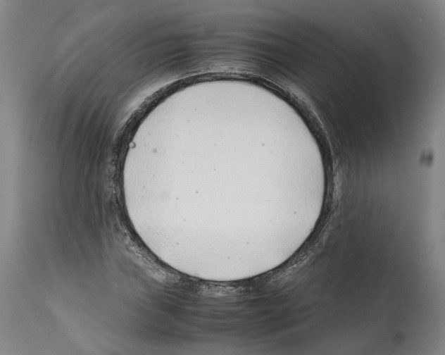 X0000112371019200909241144