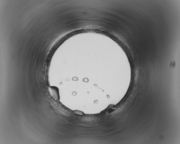X0000112371021200909241144