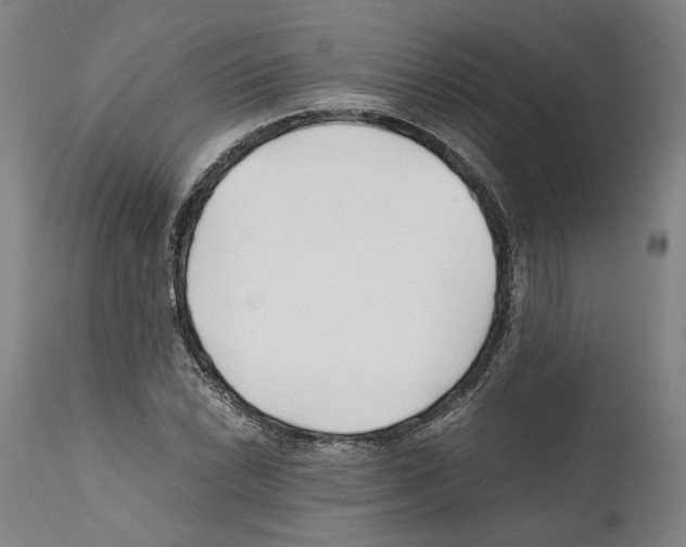 X0000112371022200909241144