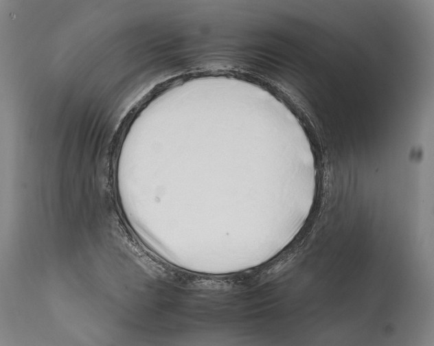 X0000112371023200909241144