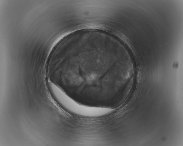 X0000112371024200909241144