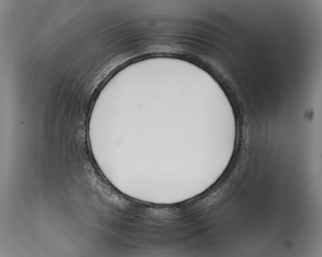 X0000112371025200909241144