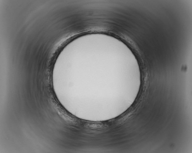X0000112371027200909241145
