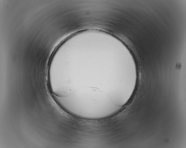 X0000112371028200909241145