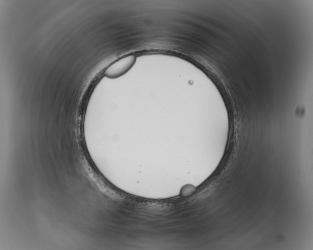X0000112371029200909241145