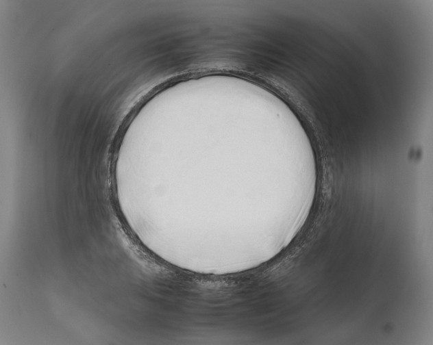 X0000112371031200909241145