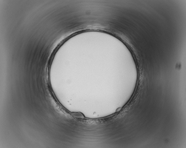 X0000112371032200909241145