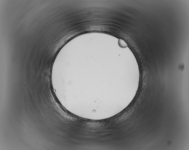 X0000112371033200909241145