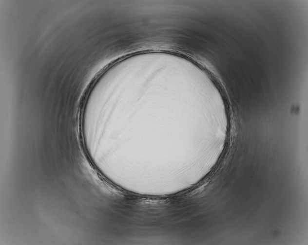 X0000112371035200909241145