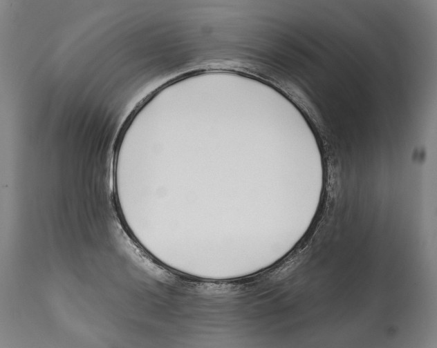 X0000112371036200909241145