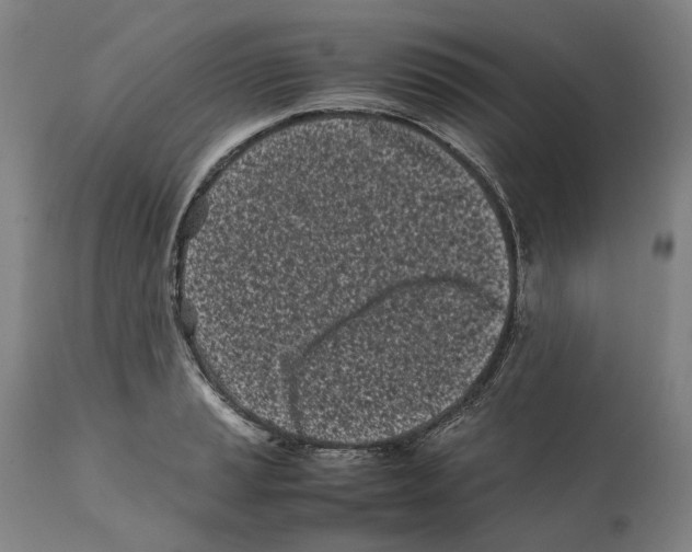 X0000112371037200909241145