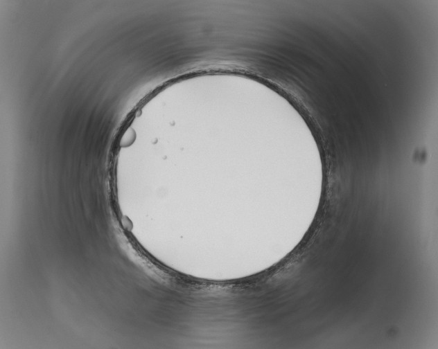 X0000112371038200909241145