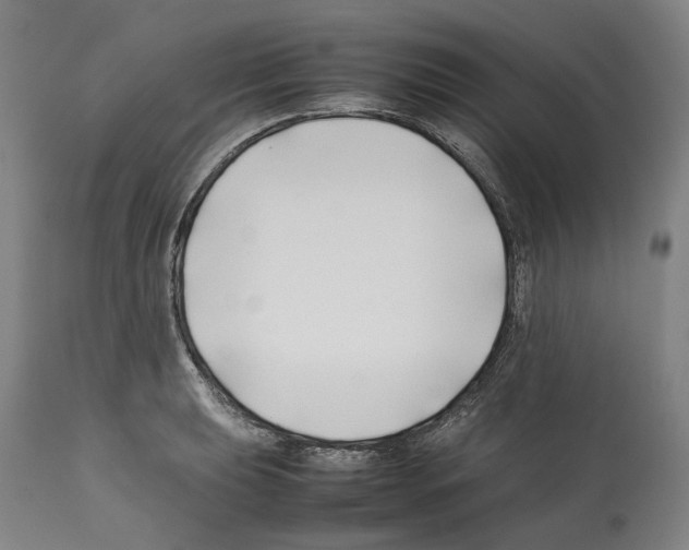 X0000112371039200909241145