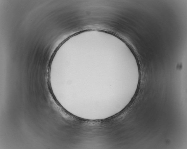 X0000112371040200909241145
