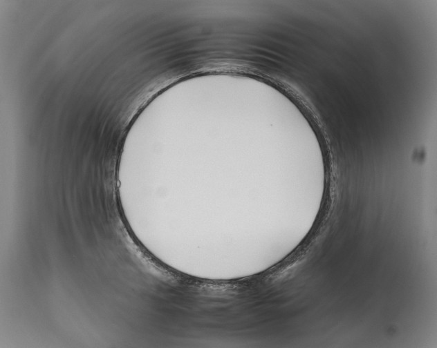 X0000112371041200909241145