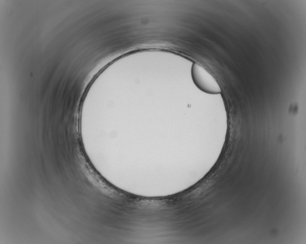 X0000112371044200909241145