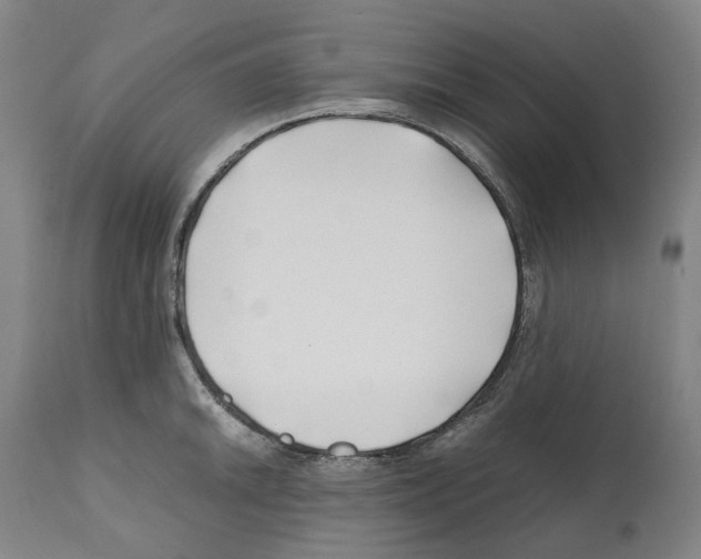 X0000112371046200909241145