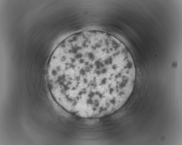 X0000112371055200909241145