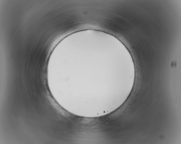 X0000112371056200909241145