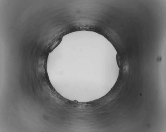 X0000112371060200909241144
