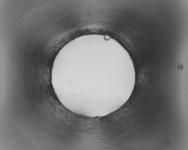 X0000112371062200909241144