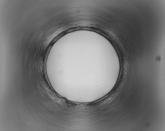 X0000112371065200909241144