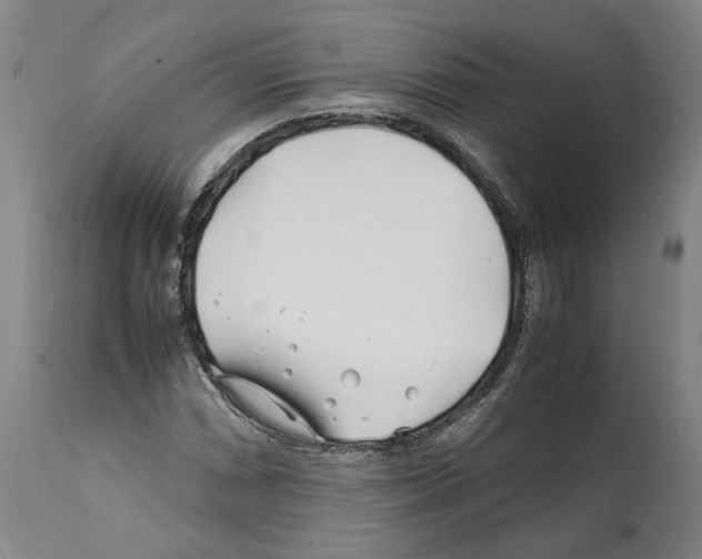 X0000112371066200909241144