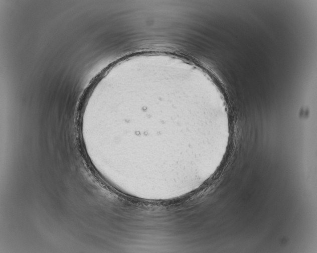 X0000112371071200909241144