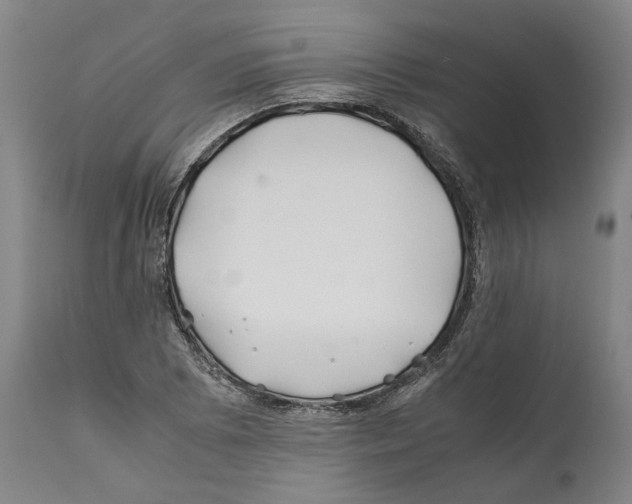 X0000112371073200909241144