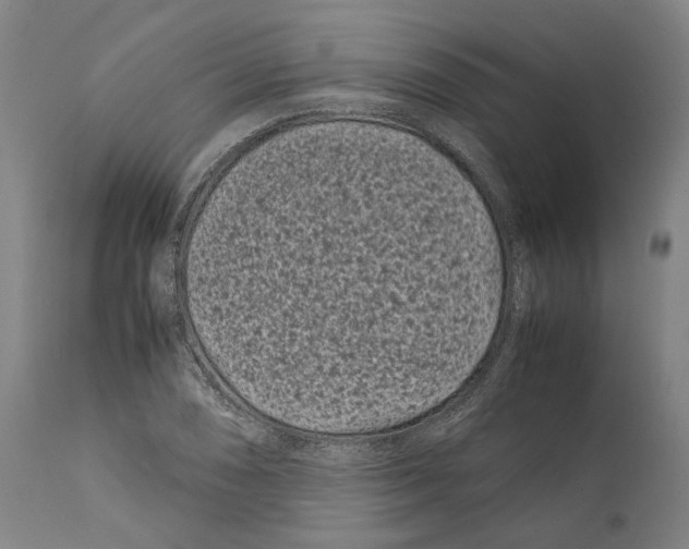 X0000112371074200909241144