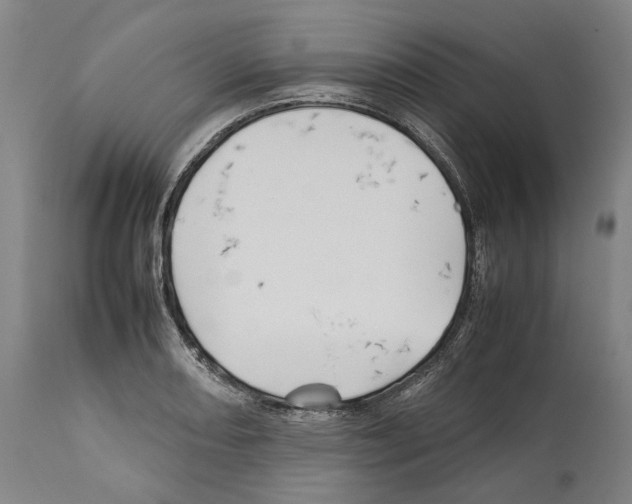 X0000112371082200909241144