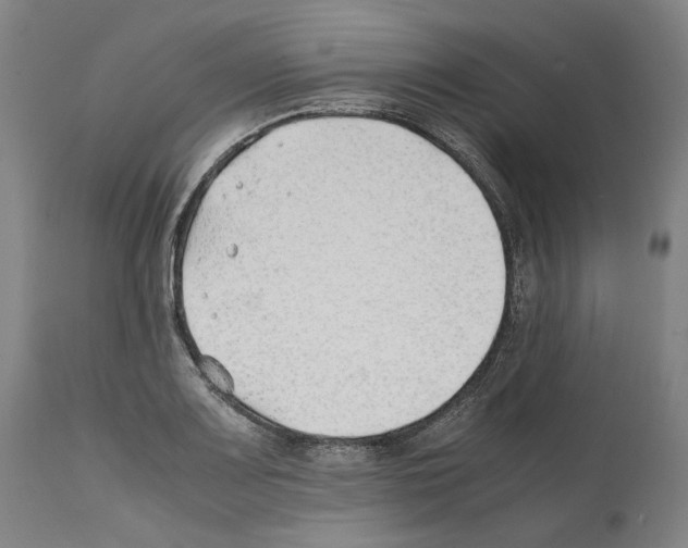 X0000112371083200909241144