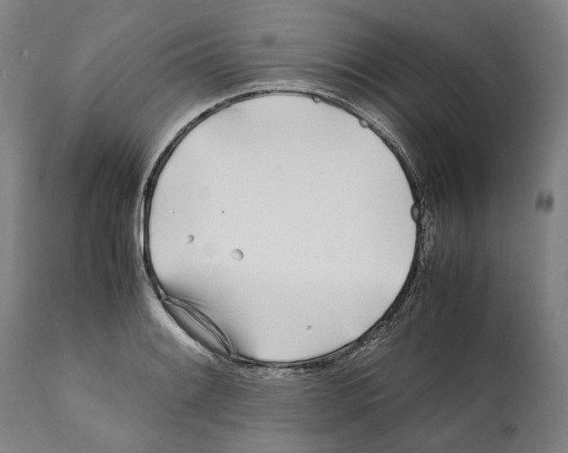 X0000112371084200909241144