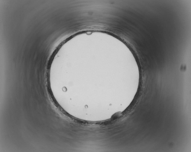 X0000112371085200909241144