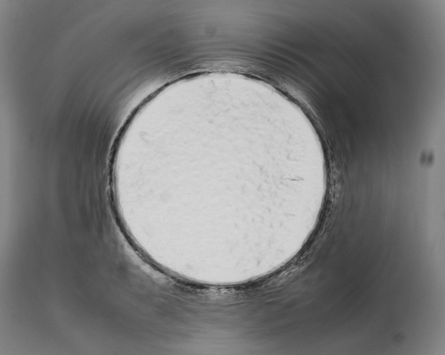 X0000112371087200909241144