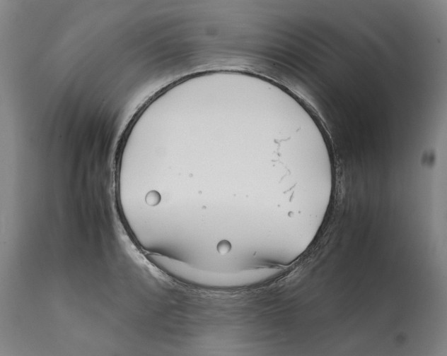 X0000112371088200909241144