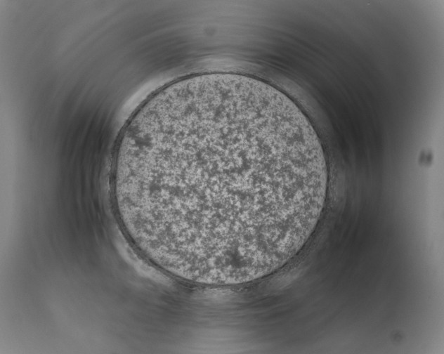 X0000112371094200909241144