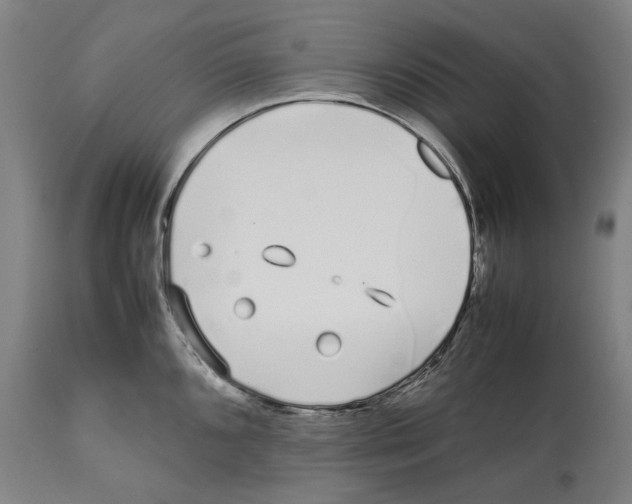 X0000112371096200909241144