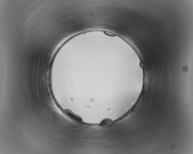 X0000112371100200909241144
