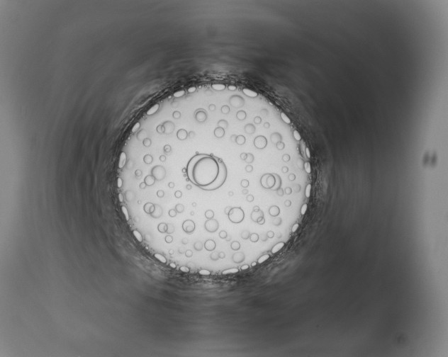 X0000112371105200909241143