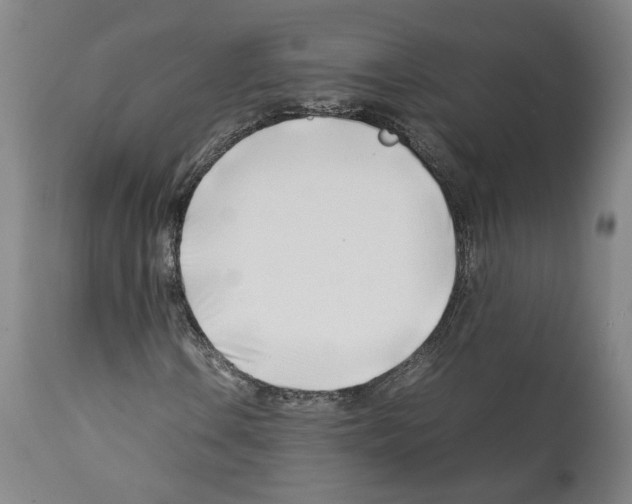X0000112371106200909241143