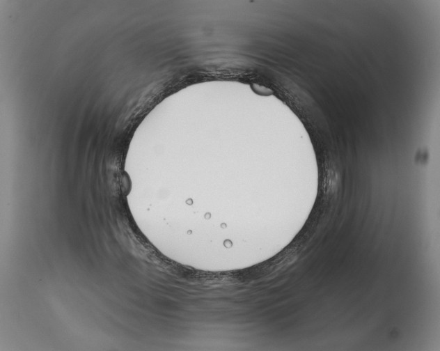 X0000112371108200909241143