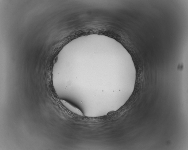 X0000112371109200909241143